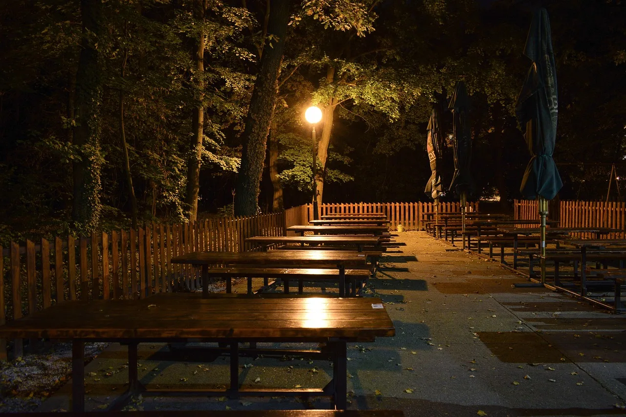 night, pub, night pub, tables, emptiness, light, trees, nature, tavern, taproom. Brewery and taproom service pricing, compared term by term